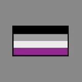 Asexual Flag