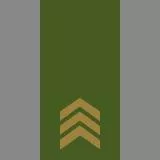SwA - Furir - Fu - Sergeant - Sgt (Sweden)