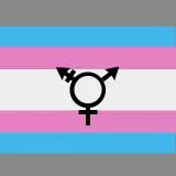 Trans pride flag