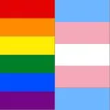 Gay + Trans Flag