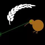 Laser Kiwi