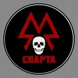 Spartan Rangers Metro 2033, Last Light, Exodus emblem logo IMPROVED 2022