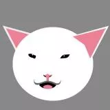 meme cat