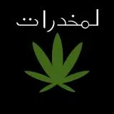 arab weed