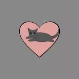 cat over heart