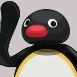 pingu