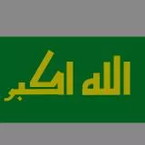 libya flag green al