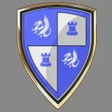 Medieval Modern Shield