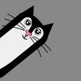 James the Cat trolling