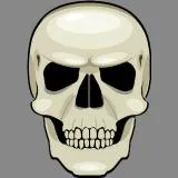 skull