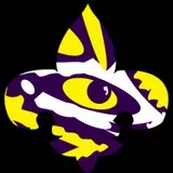 Fleur De Lis Tiger Eye