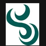 Wind Waker Sail Symbol Green