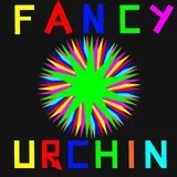 fancy urchin