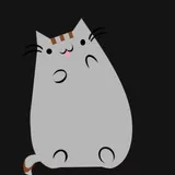 pusheen1