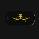 King of Skulls (BF3 Dogtag)
