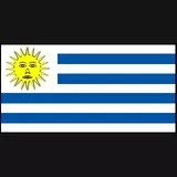 Uruguay flag