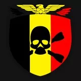 Belgian armed forces patch
