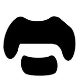 Frank Zappa's Mustache