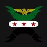 Free Syria 3