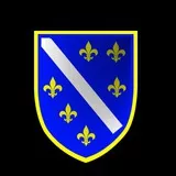 BiH Zastava refleksija 2