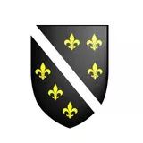 BiH Zastava refleksija Black