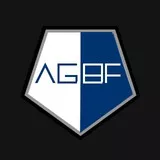 Ambition Gaming Divisional Emblem Air Force (UPDATED)