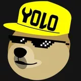yolo doge