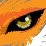 Fox Eye