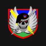 JTAC Skull and Flash