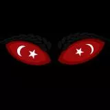 Türk Gözleri