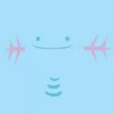 Wooper