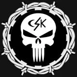 CSK PLAIN SKULL