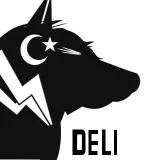 Deliler Clan Emblem