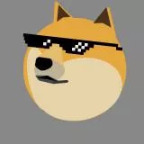 DOGE SUNGLASES