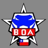 BOA CHILE