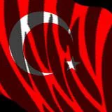 Natinal Flag of Turkey 2