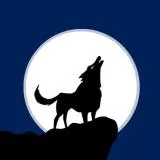 Wolf & Moon