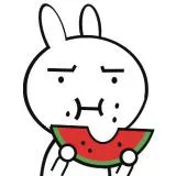兔子吃西瓜