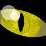 eye