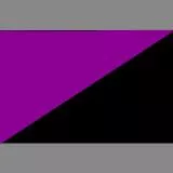 Feminist-anarchist flag
