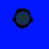 eye