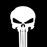 PUNISHER SEAL TEAM 3