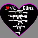 I LOVE GUNS