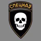 Spetsnaz Skull Patch