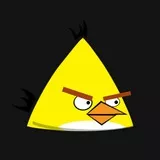 Angry bird