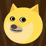 Doge k stahp