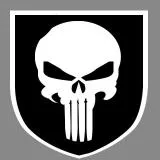 PUNISHER SEAL TEAM 3 shoulder patch