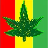 Marijuana leaf