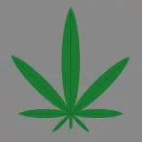 Pot Leaf