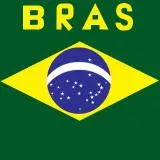 BRAS CORRIGIDO FINAL